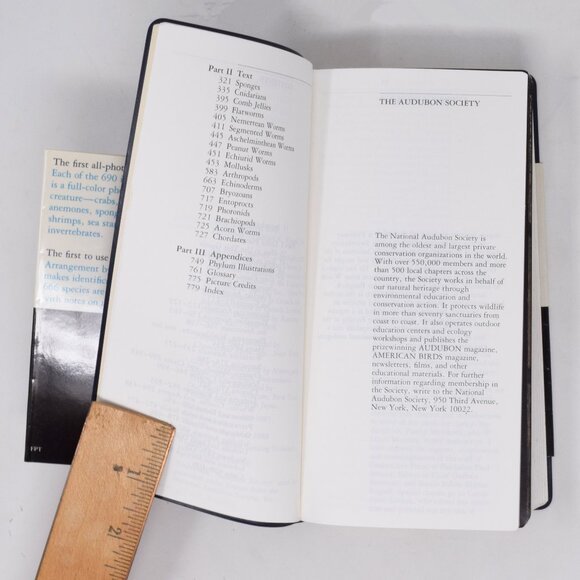 NAS Audubon Society Field Guide to North American Seashore Creatures Softcover - Picture 10 of 16